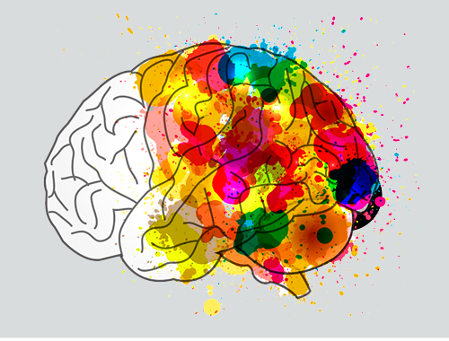 Adult-Learning-text-with-colorful-brain-drawing.png