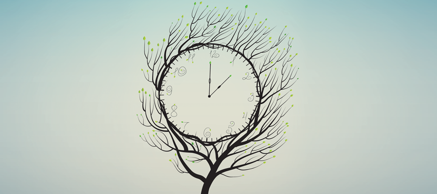 time--clock-in-tree-drawing