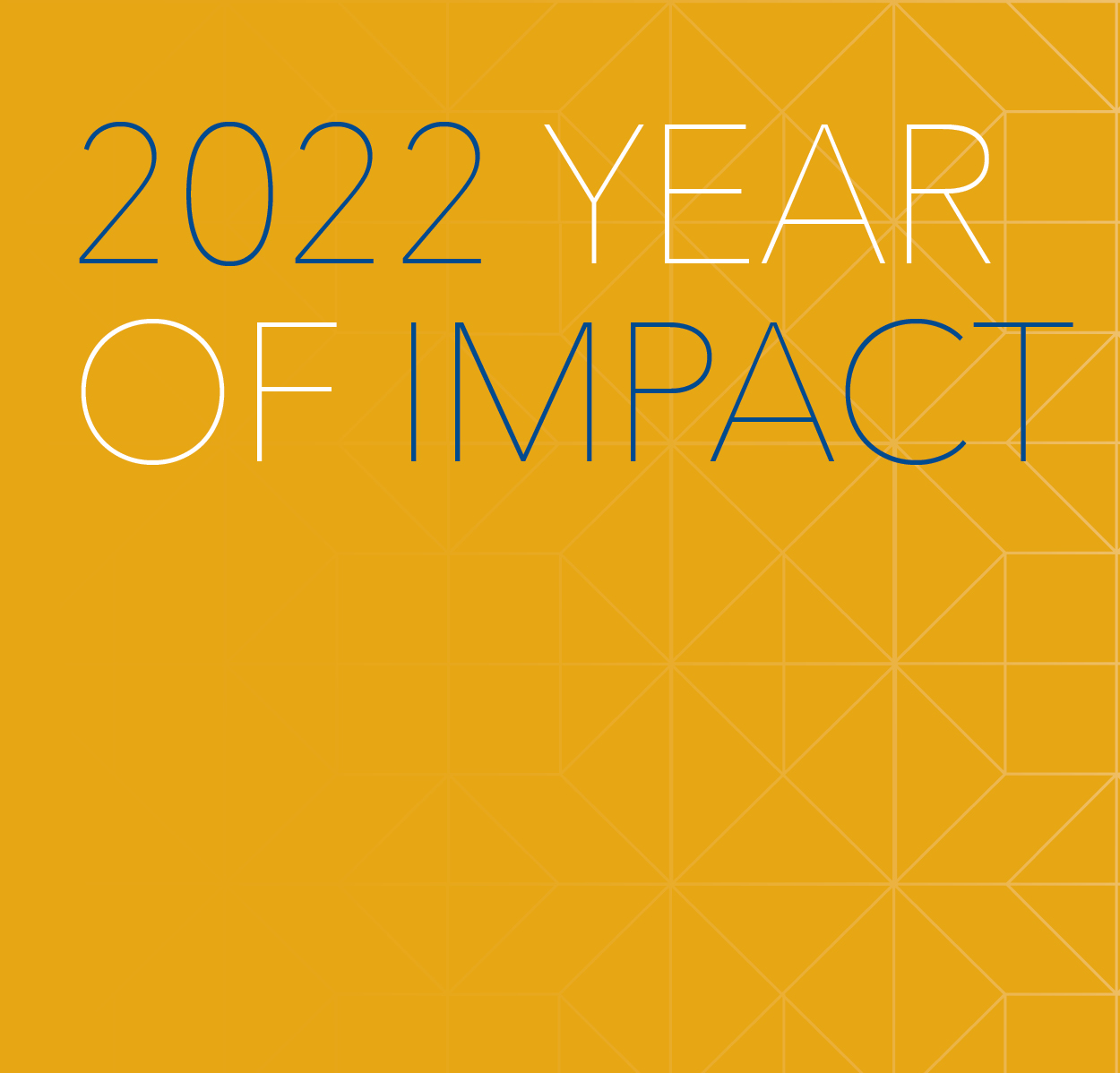 2022 Year of Impact